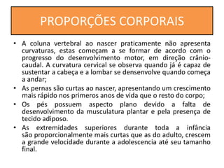 • A coluna vertebral ao nascer praticamente não apresenta
curvaturas, estas começam a se formar de acordo com o
progresso do desenvolvimento motor, em direção crânio-
caudal. A curvatura cervical se observa quando já é capaz de
sustentar a cabeça e a lombar se densenvolve quando começa
a andar;
• As pernas são curtas ao nascer, apresentando um crescimento
mais rápido nos primeros anos de vida que o resto do corpo;
• Os pés possuem aspecto plano devido a falta de
desenvolvimento da musculatura plantar e pela presença de
tecido adiposo.
• As extremidades superiores durante toda a infância
são proporcionalmente mais curtas que as do adulto, crescem
a grande velocidade durante a adolescencia até seu tamanho
final.
PROPORÇÕES CORPORAIS
 
