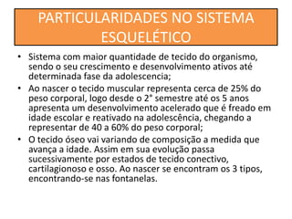 • Sistema com maior quantidade de tecido do organismo,
sendo o seu crescimento e desenvolvimento ativos até
determinada fase da adolescencia;
• Ao nascer o tecido muscular representa cerca de 25% do
peso corporal, logo desde o 2° semestre até os 5 anos
apresenta um desenvolvimento acelerado que é freado em
idade escolar e reativado na adolescência, chegando a
representar de 40 a 60% do peso corporal;
• O tecido óseo vai variando de composição a medida que
avança a idade. Assim em sua evolução passa
sucessivamente por estados de tecido conectivo,
cartilagionoso e osso. Ao nascer se encontram os 3 tipos,
encontrando-se nas fontanelas.
PARTICULARIDADES NO SISTEMA
ESQUELÉTICO
 