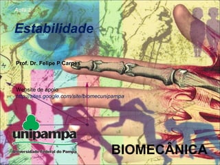 BIOMECÂNICA
Aula 2
Estabilidade
Prof. Dr. Felipe P Carpes
Website de apoio
http://sites.google.com/site/biomecunipampa
 
