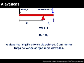 VM > 1
Be > Br
A alavanca amplia a força de esforço. Com menor
força se vence cargas mais elevadas.
FORÇA RESISTÊNCIA
Be Br
Biomecânica - Felipe Carpes – www.ufsm.br/gepec/biomecBiomecânica - http://sites.google.com/site/biomecunipampa
Alavancas
 