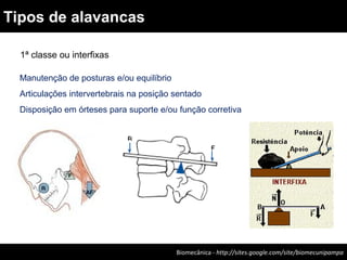 Biomecânica - http://sites.google.com/site/biomecunipampa
Tipos de alavancas
1ª classe ou interfixas
Manutenção de posturas e/ou equilíbrio
Articulações intervertebrais na posição sentado
Disposição em órteses para suporte e/ou função corretiva
 