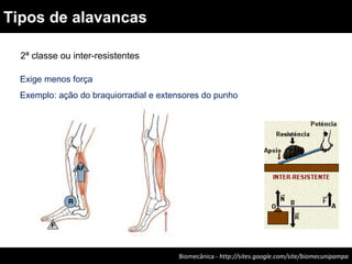 Biomecânica - http://sites.google.com/site/biomecunipampa
Tipos de alavancas
2ª classe ou inter-resistentes
Exige menos força
Exemplo: ação do braquiorradial e extensores do punho
 