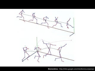 Biomecânica - http://sites.google.com/site/biomecunipampa
 
