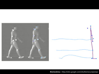 Biomecânica - http://sites.google.com/site/biomecunipampa
 