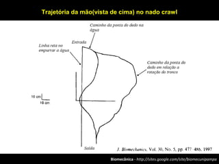 Biomecânica - http://sites.google.com/site/biomecunipampa
Trajetória da mão(vista de cima) no nado crawl
 