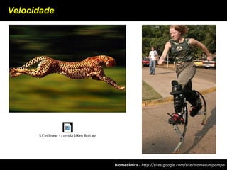 Biomecânica - http://sites.google.com/site/biomecunipampa
Velocidade
5 Cin linear - corrida 100m Bolt.avi
 
