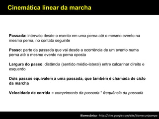 Biomecânica - http://sites.google.com/site/biomecunipampa
Cinemática linear da marcha
Passada: intervalo desde o evento em uma perna até o mesmo evento na
mesma perna, no contato seguinte
Passo: parte da passada que vai desde a ocorrência de um evento numa
perna até o mesmo evento na perna oposta
Largura do passo: distância (sentido médio-lateral) entre calcanhar direito e
esquerdo
Dois passos equivalem a uma passada, que também é chamada de ciclo
da marcha
Velocidade de corrida = comprimento da passada * frequência da passada
 