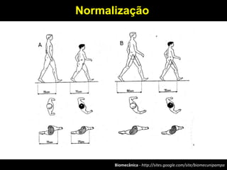 Biomecânica - http://sites.google.com/site/biomecunipampa
Normalização
 