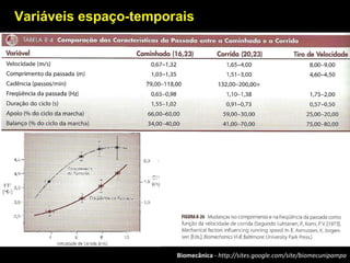 Biomecânica - http://sites.google.com/site/biomecunipampa
Variáveis espaço-temporais
 