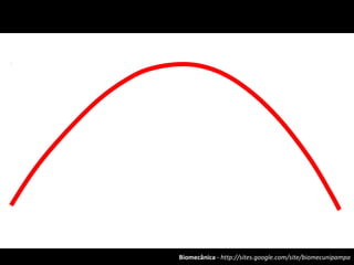 Biomecânica - http://sites.google.com/site/biomecunipampa
 