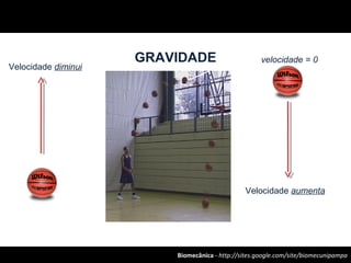 Biomecânica - http://sites.google.com/site/biomecunipampa
GRAVIDADE
Velocidade diminui
Velocidade aumenta
velocidade = 0
 