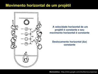 Biomecânica - http://sites.google.com/site/biomecunipampa
Movimento horizontal de um projétil
A velocidade horizontal de um
projétil é constante e seu
movimento horizontal é constante
Deslocamento horizontal (Δx)
constante
 