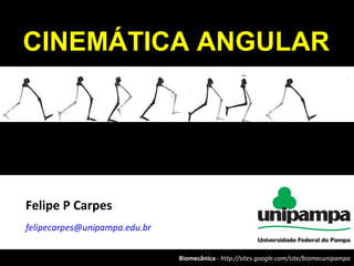 Biomecânica - http://sites.google.com/site/biomecunipampa
Felipe P Carpes
felipecarpes@unipampa.edu.br
CINEMÁTICA ANGULAR
 