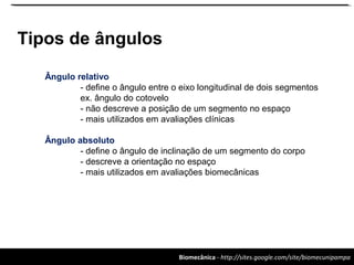 Biomecânica - http://sites.google.com/site/biomecunipampa
Tipos de ângulos
Ângulo relativo
- define o ângulo entre o eixo longitudinal de dois segmentos
ex. ângulo do cotovelo
- não descreve a posição de um segmento no espaço
- mais utilizados em avaliações clínicas
Ângulo absoluto
- define o ângulo de inclinação de um segmento do corpo
- descreve a orientação no espaço
- mais utilizados em avaliações biomecânicas
 