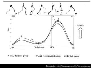 Biomecânica - http://sites.google.com/site/biomecunipampa
 
