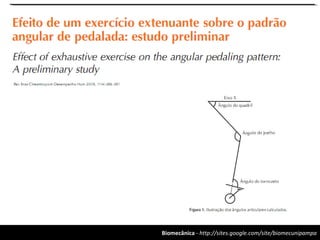 Biomecânica - http://sites.google.com/site/biomecunipampa
 