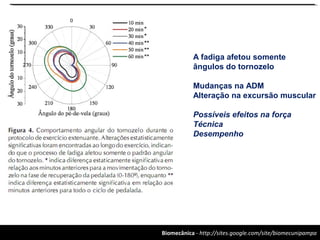 Biomecânica - http://sites.google.com/site/biomecunipampa
A fadiga afetou somente
ângulos do tornozelo
Mudanças na ADM
Alteração na excursão muscular
Possíveis efeitos na força
Técnica
Desempenho
 