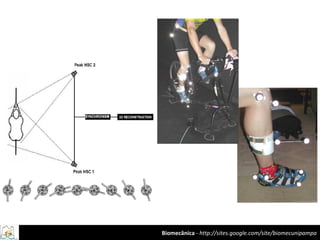 Biomecânica - http://sites.google.com/site/biomecunipampa
 