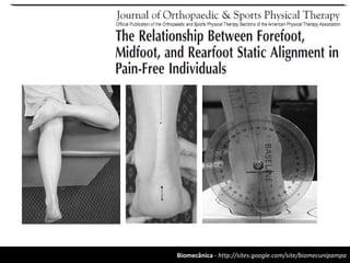Biomecânica - http://sites.google.com/site/biomecunipampa
 