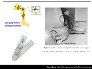 Biomecânica - http://sites.google.com/site/biomecunipampa
 