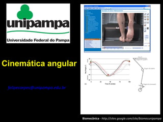 Biomecânica - http://sites.google.com/site/biomecunipampa
Felipe P Carpes
felipecarpes@unipampa.edu.br
Cinemática angular
 