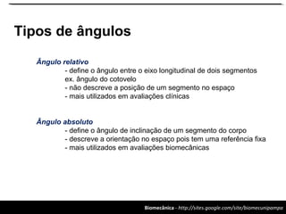 Biomecânica - http://sites.google.com/site/biomecunipampa
Tipos de ângulos
Ângulo relativo
- define o ângulo entre o eixo longitudinal de dois segmentos
ex. ângulo do cotovelo
- não descreve a posição de um segmento no espaço
- mais utilizados em avaliações clínicas
Ângulo absoluto
- define o ângulo de inclinação de um segmento do corpo
- descreve a orientação no espaço pois tem uma referência fixa
- mais utilizados em avaliações biomecânicas
 