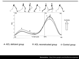 Biomecânica - http://sites.google.com/site/biomecunipampa
 