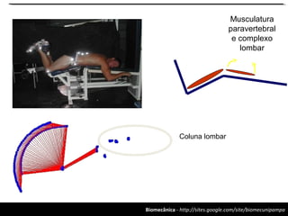 Biomecânica - http://sites.google.com/site/biomecunipampa
Coluna lombar
Musculatura
paravertebral
e complexo
lombar
 
