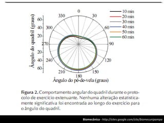 Biomecânica - http://sites.google.com/site/biomecunipampa
 
