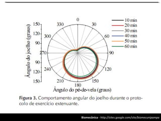 Biomecânica - http://sites.google.com/site/biomecunipampa
 