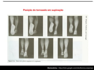 Biomecânica - http://sites.google.com/site/biomecunipampa
Posição do tornozelo em supinação
 