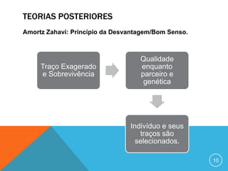 TEORIAS POSTERIORES
Amortz Zahavi: Princípio da Desvantagem/Bom Senso.

Traço Exagerado
e Sobrevivência

Qualidade
enquanto
parceiro e
genética

Indivíduo e seus
traços são
selecionados.
10

 