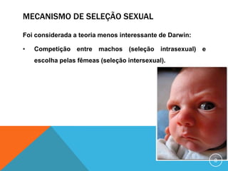 MECANISMO DE SELEÇÃO SEXUAL
Foi considerada a teoria menos interessante de Darwin:
•

Competição entre machos (seleção intrasexual) e

escolha pelas fêmeas (seleção intersexual).

8

 