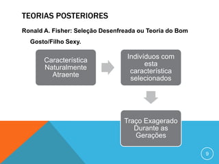 TEORIAS POSTERIORES
Ronald A. Fisher: Seleção Desenfreada ou Teoria do Bom
Gosto/Filho Sexy.

Característica
Naturalmente
Atraente

Indivíduos com
esta
característica
selecionados

Traço Exagerado
Durante as
Gerações
9

 
