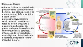 •Doença de Chagas
•A transmissão ocorre pelo inseto
popularmente conhecido como
barbeiro, que pica a pessoa e, ao
mesmo tempo, defeca na ferida.
É assim que o
protozoário Trypanossoma
cruzi, que está presente nas
fezes do inseto, chega até o
organismo do hospedeiro,
provocando problemas de saúde
como insuficiência cardíaca,
inflamação do cérebro, lesões
neurológicas e dilatação do tubo
digestório, que podem levar o
indivíduo à morte.
 