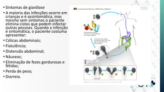 • Sintomas de giardíase
• A maioria das infecções ocorre em
crianças e é assintomática, mas
mesmo sem sintomas o paciente
elimina cistos que podem infectar
outras pessoas. Quando a infecção
é sintomática, o paciente costuma
apresentar:
• Cólicas abdominais;
• Flatulência;
• Distensão abdominal;
• Náuseas;
• Eliminação de fezes gordurosas e
fétidas;
• Perda de peso;
• Diarreia.
 