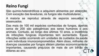 Reino Fungi
São quimio-heterotróficos e adquirem alimentos por absorção.
Com exceção das leveduras, os fungos são multicelulares.
A maioria se reproduz através de esporos sexuados e
assexuados.
Das mais de 100 mil espécies conhecidas de fungos, apenas
cerca de 200 são patogênicas aos seres humanos e aos
animais. Contudo, ao longo dos últimos 10 anos, a incidência
de infecções fúngicas importantes tem aumentado. Essas
infecções estão ocorrendo em unidades de cuidados da saúde
e em indivíduos imunocomprometidos. Além disso, milhares de
doenças causadas por fungos afetam plantas economicamente
importantes, causando prejuízos de mais de um bilhão de
dólares ao ano.
 