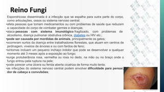 Reino Fungi
Esporotricose disseminada é a infecção que se espalha para outra parte do corpo,
como articulações, ossos ou sistema nervoso central;
•afeta pessoas que tomam medicamentos ou com problemas de saúde que reduzem
a capacidade do corpo de combater germes e doenças;
•ataca pessoas com sistema imunológico fragilizado, com problemas de
alcoolismo, doença pulmonar obstrutiva crônica, diabetes ou HIV etc.;
•pode ser causada por mordidas de animais, principalmente os gatos;
•ocorreram surtos da doença entre trabalhadores florestais, que atuam em centros de
jardinagem, viveiros de árvores e ou com fardos de feno;
•sintomas incluem um pequeno inchaço indolor que pode se desenvolver a qualquer
momento até 3 meses após a exposição ao fungo;
•surge protuberância rosa, vermelha ou roxa no dedo, na mão ou no braço onde o
fungo entrou pela ruptura na pele;
•pode parecer uma úlcera ou ferida aberta cicatriza de forma muito lenta;
•as infecções do sistema nervoso central podem envolver dificuldade para pensar,
dor de cabeça e convulsões;
 
