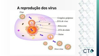 A reprodução dos vírus
 