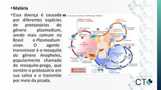 •Malária
•Essa doença é causada
por diferentes espécies
de protozoários do
gênero plasmodium,
sendo mais comum no
Brasil o Plasmodium
vivax. O agente
transmissor é o mosquito
do gênero Anopheles,
popularmente chamado
de mosquito-prego, que
contém o protozoário em
sua saliva e o transmite
por meio da picada.
 