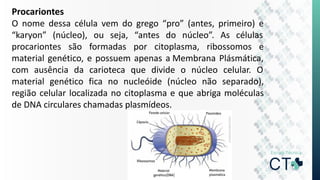 Procariontes
O nome dessa célula vem do grego “pro” (antes, primeiro) e
“karyon” (núcleo), ou seja, “antes do núcleo”. As células
procariontes são formadas por citoplasma, ribossomos e
material genético, e possuem apenas a Membrana Plásmática,
com ausência da carioteca que divide o núcleo celular. O
material genético fica no nucleóide (núcleo não separado),
região celular localizada no citoplasma e que abriga moléculas
de DNA circulares chamadas plasmídeos.
 