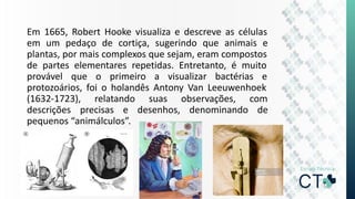 Em 1665, Robert Hooke visualiza e descreve as células
em um pedaço de cortiça, sugerindo que animais e
plantas, por mais complexos que sejam, eram compostos
de partes elementares repetidas. Entretanto, é muito
provável que o primeiro a visualizar bactérias e
protozoários, foi o holandês Antony Van Leeuwenhoek
(1632-1723), relatando suas observações, com
descrições precisas e desenhos, denominando de
pequenos “animálculos”.
 