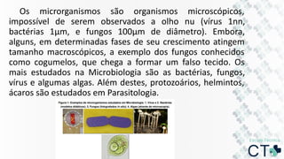 Os microrganismos são organismos microscópicos,
impossível de serem observados a olho nu (vírus 1nn,
bactérias 1µm, e fungos 100µm de diâmetro). Embora,
alguns, em determinadas fases de seu crescimento atingem
tamanho macroscópicos, a exemplo dos fungos conhecidos
como cogumelos, que chega a formar um falso tecido. Os
mais estudados na Microbiologia são as bactérias, fungos,
vírus e algumas algas. Além destes, protozoários, helmintos,
ácaros são estudados em Parasitologia.
 