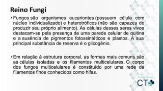 Reino Fungi
•Fungos são organismos eucariontes (possuem célula com
núcleo individualizado) e heterotróficos (não são capazes de
produzir seu próprio alimento). As células desses seres vivos
destacam-se pela presença de uma parede celular de quitina
e a ausência de pigmentos fotossintéticos e plastos. A sua
principal substância de reserva é o glicogênio.
•Em relação à estrutura corporal, as formas mais comuns são
as células isoladas e os filamentos multicelulares. O corpo
dos fungos multicelulares é constituído por uma rede de
filamentos finos conhecidos como hifas.
 