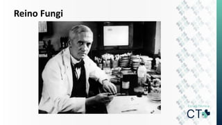 Reino Fungi
 
