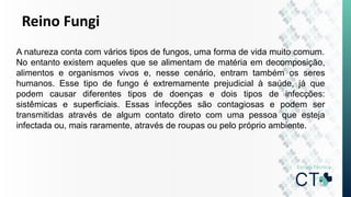 Reino Fungi
A natureza conta com vários tipos de fungos, uma forma de vida muito comum.
No entanto existem aqueles que se alimentam de matéria em decomposição,
alimentos e organismos vivos e, nesse cenário, entram também os seres
humanos. Esse tipo de fungo é extremamente prejudicial à saúde, já que
podem causar diferentes tipos de doenças e dois tipos de infecções:
sistêmicas e superficiais. Essas infecções são contagiosas e podem ser
transmitidas através de algum contato direto com uma pessoa que esteja
infectada ou, mais raramente, através de roupas ou pelo próprio ambiente.
 