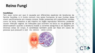 Reino Fungi
Candidíase
Tem esse nome por que é causada por diferentes espécies de leveduras da
família Candida, e é muito comum nos seres humanos, já que muitas delas
vivem paciﬁcamente em nossos corpos. Estão presentes em superfícies úmidas,
como na boca, intestino e até mesmo no órgão reprodutor feminino, podendo
causar infecção vaginal. As infecções que ocorrem na boca ou na garganta se
desencadeiam quando a levedura invade a corrente sanguínea e se espalha por
diversas áreas do corpo. A candidíase também pode ser fatal em casos de
pessoas que possuem o sistema imunológico fraco.
 
