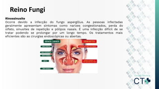 Reino Fungi
Rinossinusite
Ocorre devido a infecção do fungo aspergillus. As pessoas infectadas
geralmente apresentam sintomas como narizes congestionados, perda do
olfato, sinusites de repetição e pólipos nasais. É uma infecção difícil de se
tratar podendo se prolongar por um longo tempo. Os tratamentos mais
eﬁcientes são as cirurgias endoscópicas ou abertas.
 