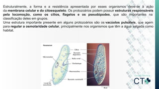 Estruturalmente, a forma e a resistência apresentada por esses organismos deve-se à ação
da membrana celular e do citoesqueleto. Os protozoários podem possuir estruturas responsáveis
pela locomoção, como os cílios, flagelos e os pseudópodes, que são importantes na
classificação deles em grupos.
Uma estrutura importante presente em alguns protozoários são os vacúolos pulsáteis, que agem
para regular a osmolaridade celular, principalmente nos organismos que têm a água salgada como
habitat.
 