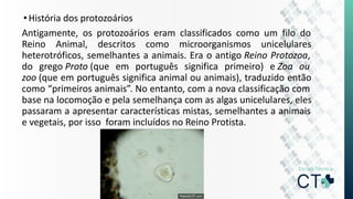 •História dos protozoários
Antigamente, os protozoários eram classificados como um filo do
Reino Animal, descritos como microorganismos unicelulares
heterotróficos, semelhantes a animais. Era o antigo Reino Protozoa,
do grego Proto (que em português significa primeiro) e Zoa ou
zoo (que em português significa animal ou animais), traduzido então
como “primeiros animais”. No entanto, com a nova classificação com
base na locomoção e pela semelhança com as algas unicelulares, eles
passaram a apresentar características mistas, semelhantes a animais
e vegetais, por isso foram incluídos no Reino Protista.
 